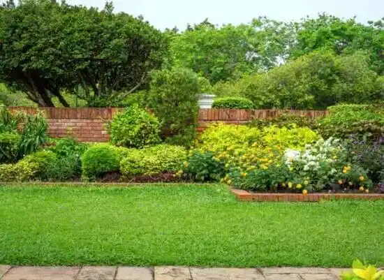 landscaping services Cannonsburg